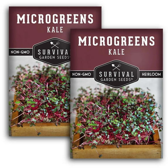 2 Packs Kale Seed for Microgreens - Non-GMO Heirloom
