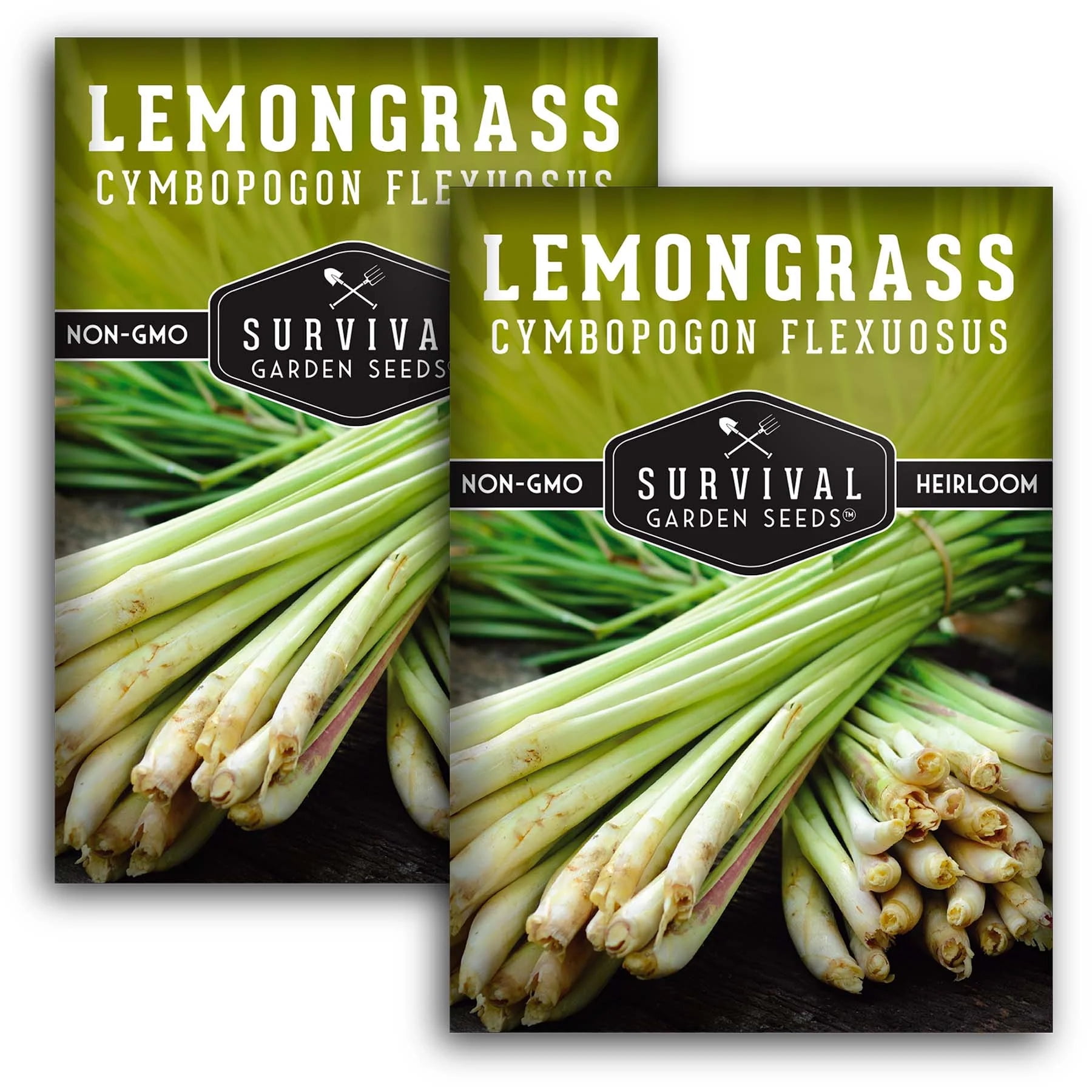 2 Packs Lemongrass Seeds NonGMO Heirloom Full Sun Perennial Herb
