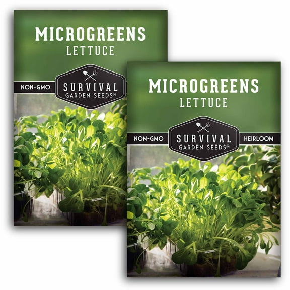 2 Packs Lettuce Microgreens Seeds for Sprouting - Non-GMO Heirloom Annual Full Sun