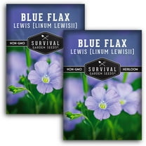 2 Packs Lewis Blue Flax Seeds - Drought Tolerant Perennial Wildflowers - Non-GMO Heirloom Perennial Full Sun