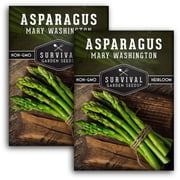 Mary Washington Asparagus Seeds - Full Sun Perennial Vegetable - 2 Packs