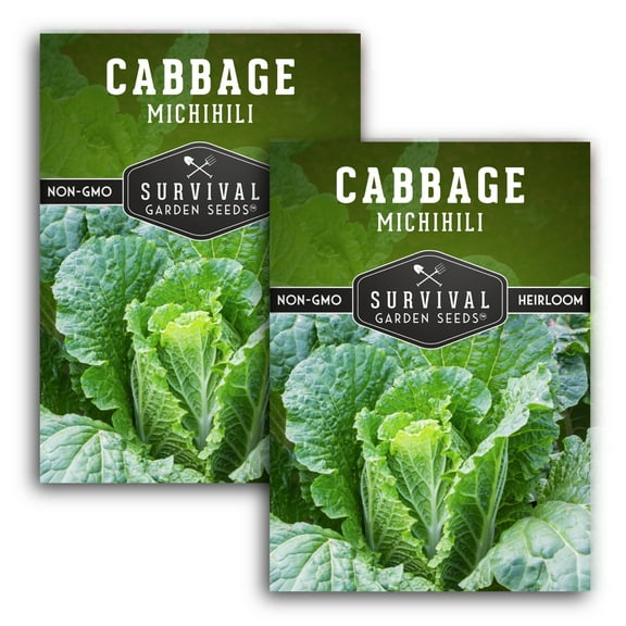 2 Packs Michihili Nampa Cabbage Seeds - Non-GMO Heirloom Full Sun Biennial Vegetable