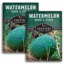2 Packs Moon and Stars Watermelon Seeds - Non-GMO Heirloom Full Sun Annual Vegetable