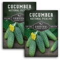 thumbnail image 1 of 2 Packs National Pickling Cucumber - Non-GMO Heirloom Vegetable Seeds - Full Sun Annual, 1 of 9