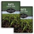 thumbnail image 1 of 2 Packs Oats Cover Crop Seed - Non-GMO Heirloom Annual Full Sun, 1 of 6
