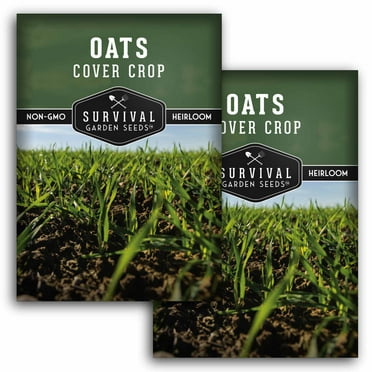 25 Lbs Winter Wheat Cover Crop Seeds – Non-GMO, Great For Deer & Turkey Food Plots (CZ Grain)