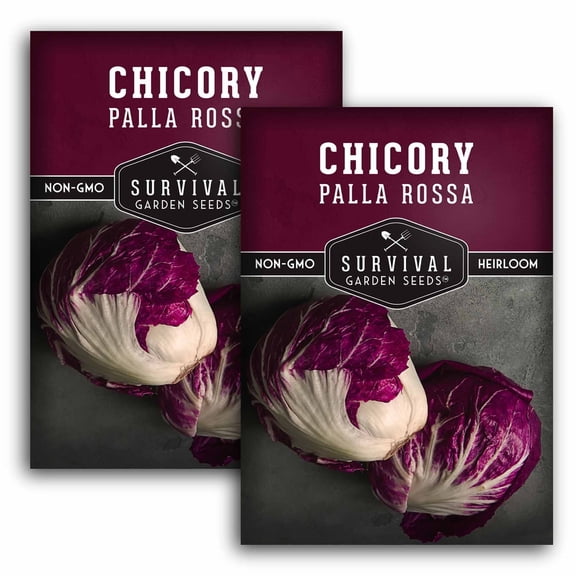 2 Packs Palla Rossa Chicory Seed - Non-GMO Heirloom Perennial Full Sun Vegetable