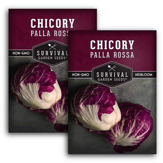 2 Packs Palla Rossa Chicory Seed - Non-GMO Heirloom Perennial Full Sun Vegetable
