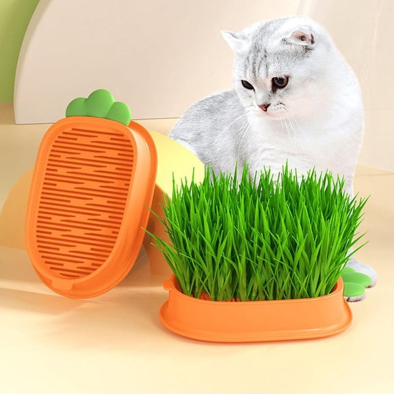 2 Packs Pet Cat Sprout Dish Growing Pot Hydroponic Plant Cat Grass Germination Starter Dish Greenhouse Grow Box