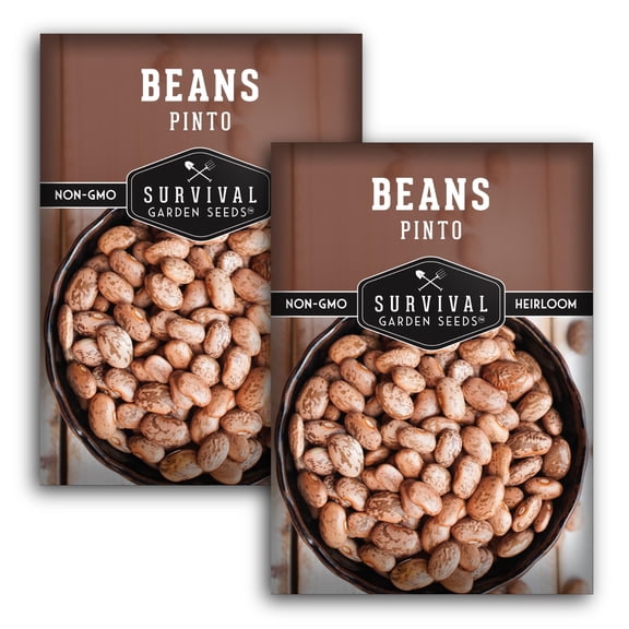 2 Packs Pinto Bean Seeds - Mottled / Peruano Beans - Non-GMO Heirloom Annual Full Sun - Open-Pollinated & Untreated