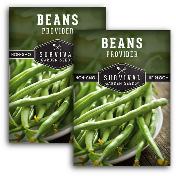 2 Packs Provider Bush Bean Seeds - Non-GMO Heirloom Full Sun Annual Vegetable