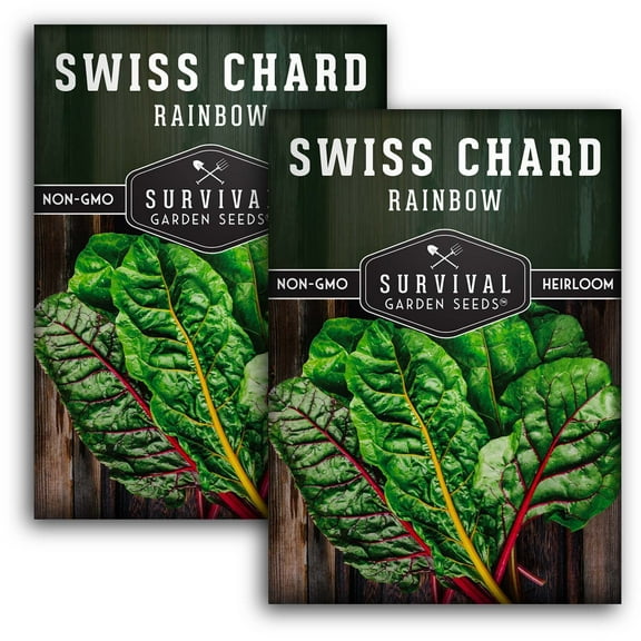 2 Packs Rainbow Swiss Chard Seeds - Non-GMO Heirloom Full Sun Annual Vegetable
