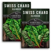2 Packs Rainbow Swiss Chard Seed - Non-GMO Heirloom Full Sun Annual Vegetable