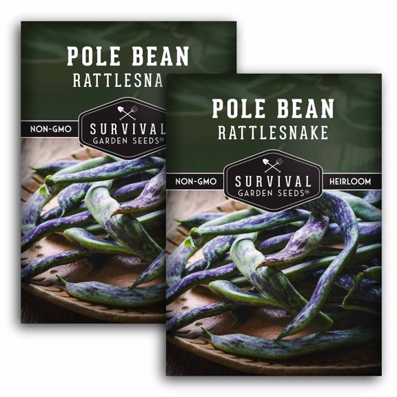 2 Packs Rattlesnake Bean Seeds - Non-GMO Heirloom Full Sun Annual Vegetable