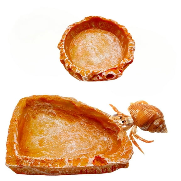 2 Packs Reptile Water Dish Food Bowl for Bearded Dragon Tank Accessories, Reptile Rock Feeder for Leopard Gecko Hermit Crab Tortoise Snake, Orange