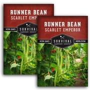 Scarlet Emperor Runner Bean Vegetable Seeds - Annual Full Sun 2 Packs