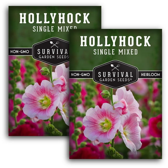 2 Packs Single Mixed Hollyhock Seed - Heirloom Full Sun Biennial Flower