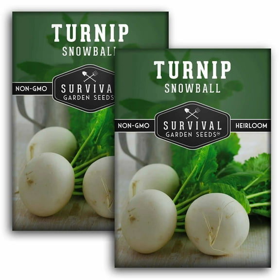2 Packs Snowball Turnip Seeds - Non-GMO Heirloom Full Sun Biennial Vegetable