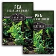 thumbnail image 1 of 2 packs Sugar Ann Dwarf Pea Seed for Planting - Sweet Snap Peas - Non-GMO Heirloom Annual Full Sun, 1 of 6