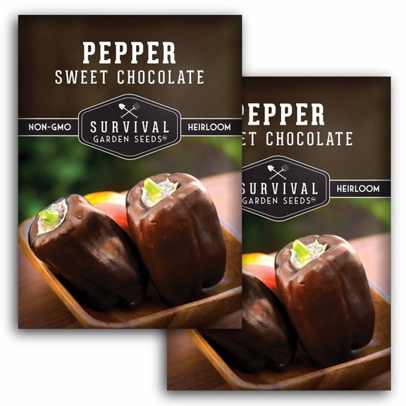 2 Packs Sweet Chocolate Pepper Seeds - Non-GMO Heirloom Annual Full Sun