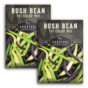 Tri-Color Mix Bush Bean Seeds - Full Sun Annual Vegetable 2 Pack