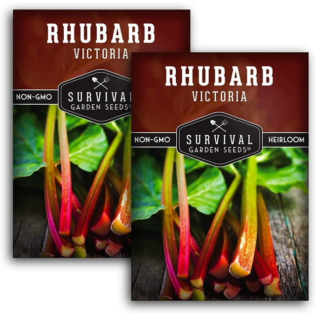 2 Packs Victoria Rhubarb Seeds - Non-GMO Heirloom Full Sun Perennial Vegetable