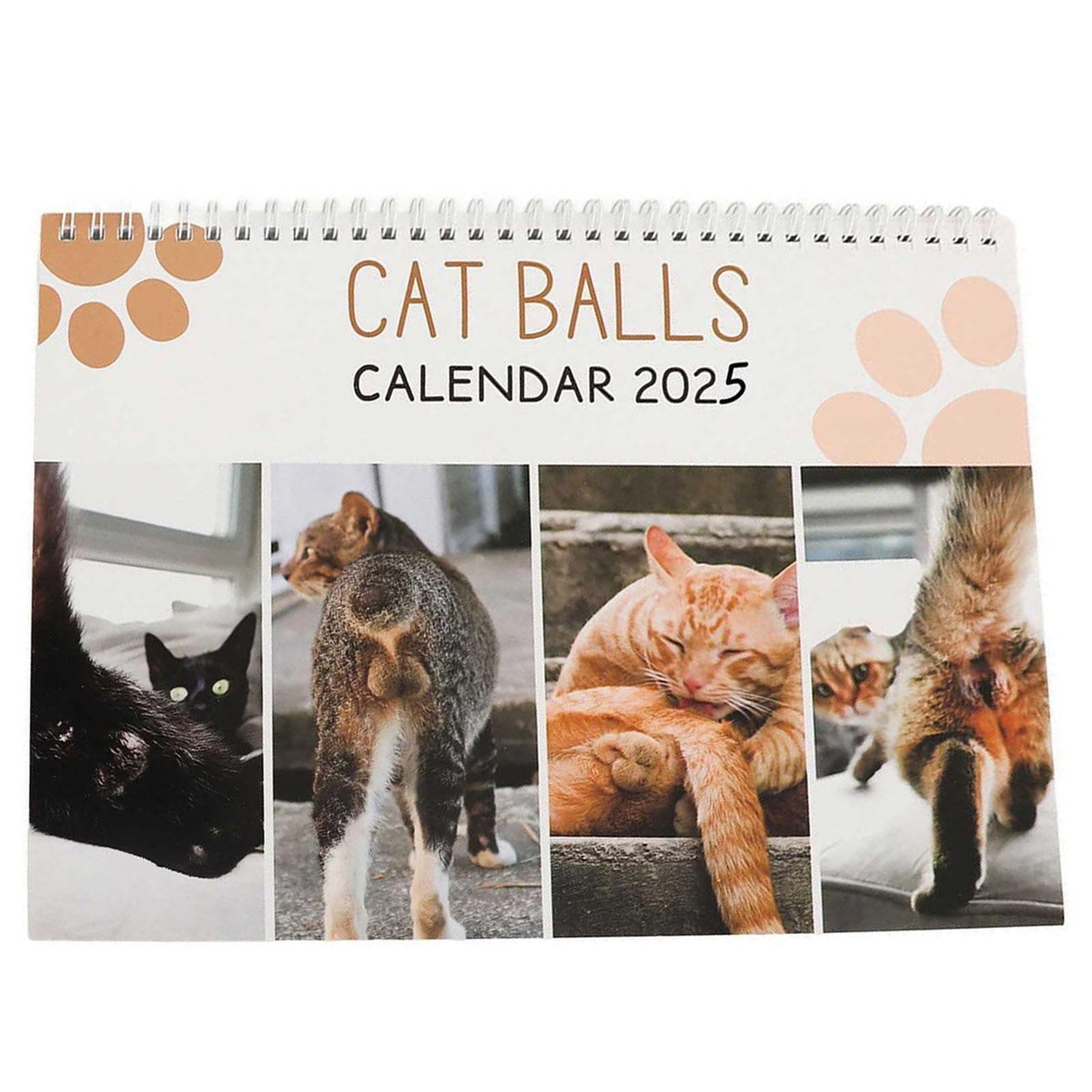 2 Packs Walmart Labor Day 2024Calendar,Cat Calendar 2025 New Funny Cat