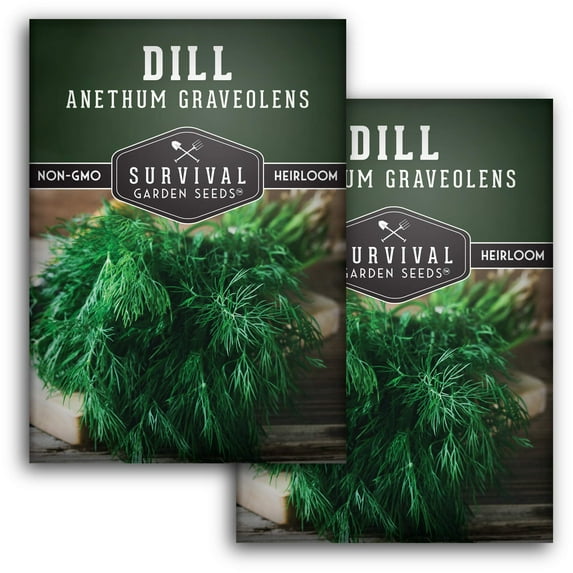 Dill Seeds Non-GMO Heirloom Full Sun Biennial Herb - 2 Packs