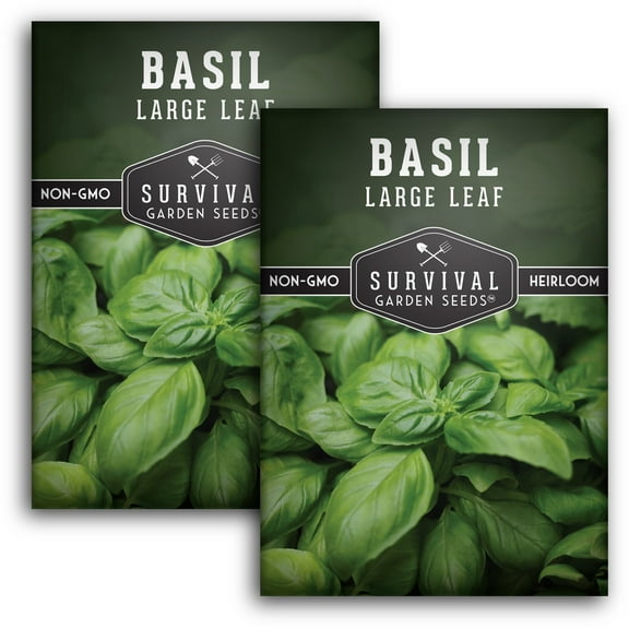 2 Packs of Large Leaf Basil Seeds - Non-GMO Heirloom Full Sun Herb