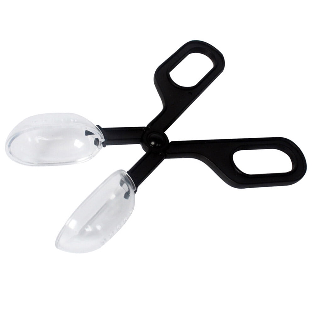 2 Pc Reptile Terrarium Tool Lizard Feeding Clip Poop Scoop Cleaning