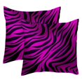 2Pc Throw Pillow Covers,Pillowcases,Pillow Cases 18x18 in,Animal Zebra