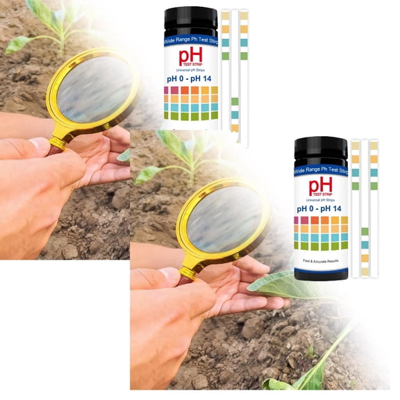 2 Pcs 100pcs pH Test Strips, Universal pH 0-14, Testing pH for Urine Saliva Drinking Water Labs Aquariums Gyms Pools… (100)