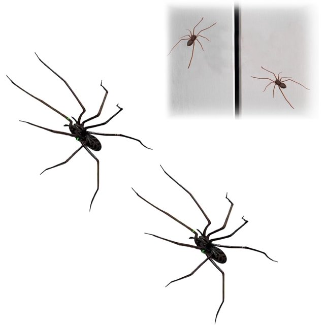 Realistic 3D Spider Fridge Magnet Refrigerator Spider Decorations For Car Fake Spiders
