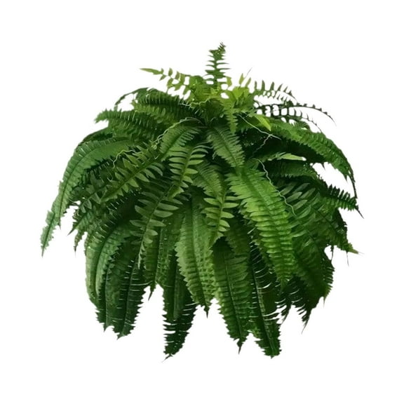 2 Pcs Artificial Boston Ferns, Live Boston Fern Hanging Basket, Faux Ferns for Outdoor Planter Large Fake Ferns Look Real Artificial Ferns for Home Farmhouse Garden Porch Decor