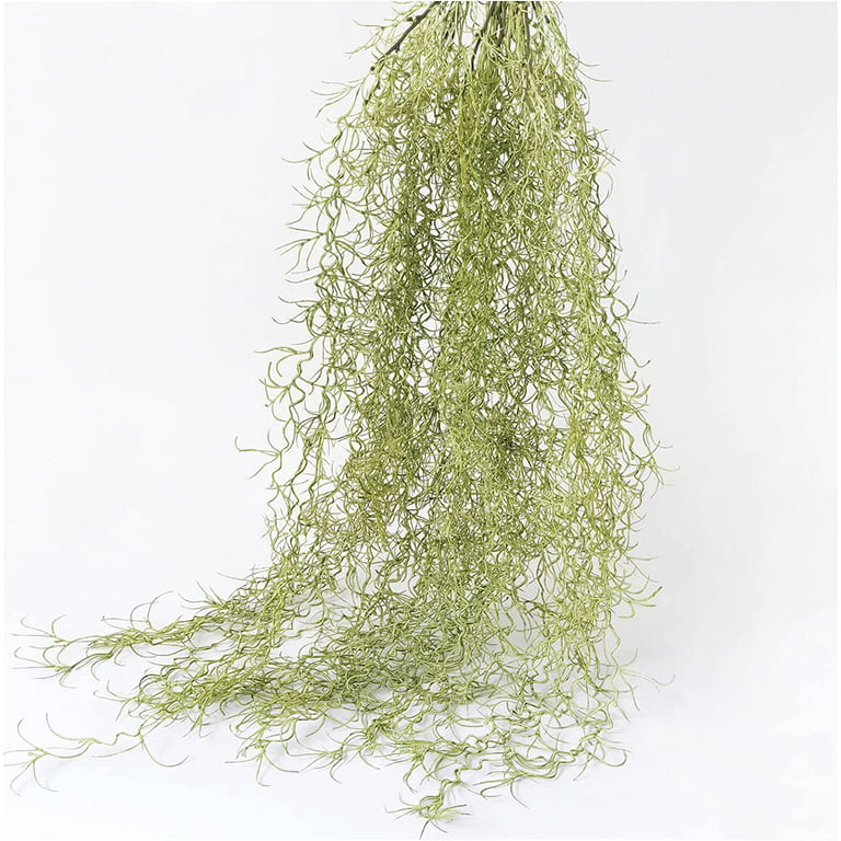 2 Pcs Artificial Hanging Plants Fake Spanish Moss, Faux Spanish Moss  Garland for Potted Plants, Artificial Hanging Moss Greenery Decor for  Crafts Wall Art Garden 