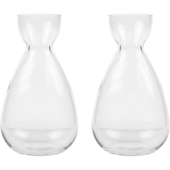 2 Pcs Avocado Seed Starter Vase, Glass Avocado Tree Growing Kit Propagation Vases, Seed Sprouting Kit for Plant Lover Gifts Indoor Hydroponics