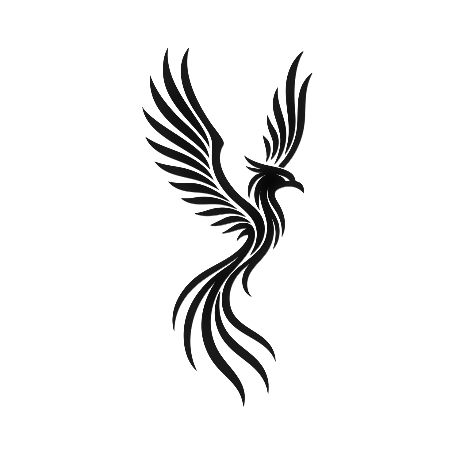 2 Pcs - No Background - Waterproof Car Sticker Decal of Long Tail Bird ...