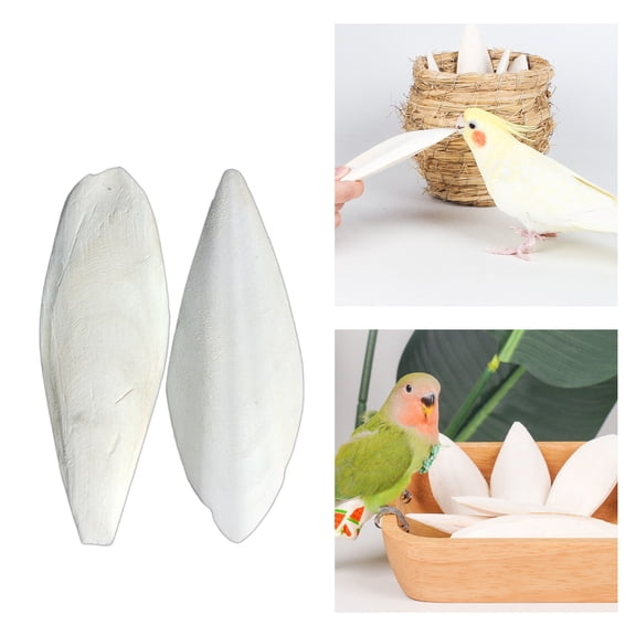 2 Pcs Bird Cuttlebone for Parakeets Cuttlebone for Birds - Natural Cuttlefish Bone Bulk Chew Toy Bird Bites Calcium Stone for Canaries Tortoises,Snails,Reptiles,Parrots,Cockatiel