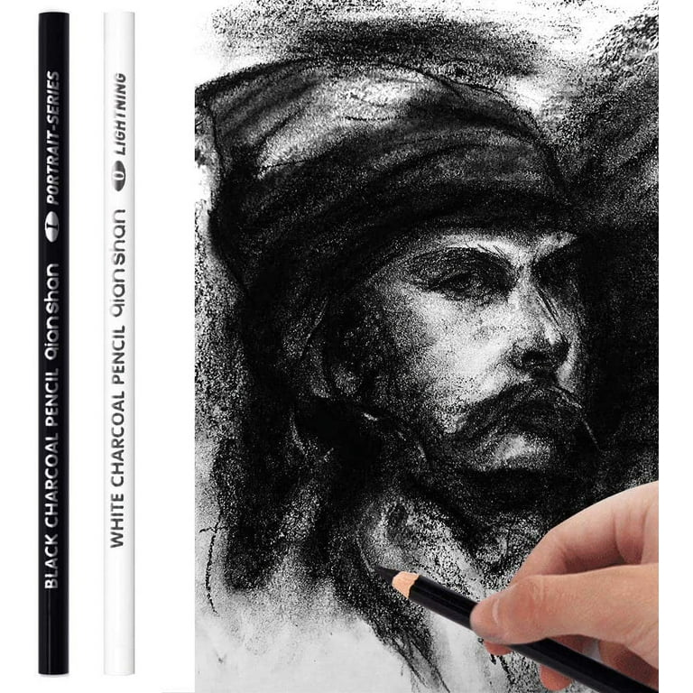 HIFORNY 10 Pieces Colored Charcoal Pencils for drawing- Black White  Charcoal Pencils for Sketching,Shading,Blending,Portrait - Ideal for  Beginners 
