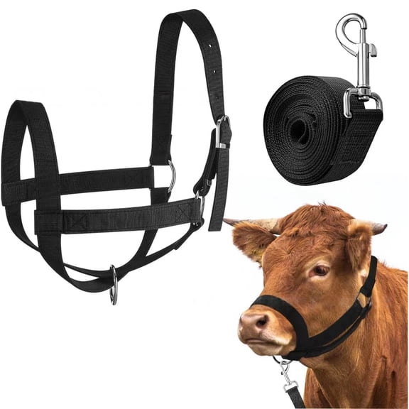 2 Pcs Cattle Traction Halter Bull Bridle Cow Halter with Leading Rope Adjustable Livestock Nylon Calf Halter for Handling Equipment and Suitable for Farm,S,Black