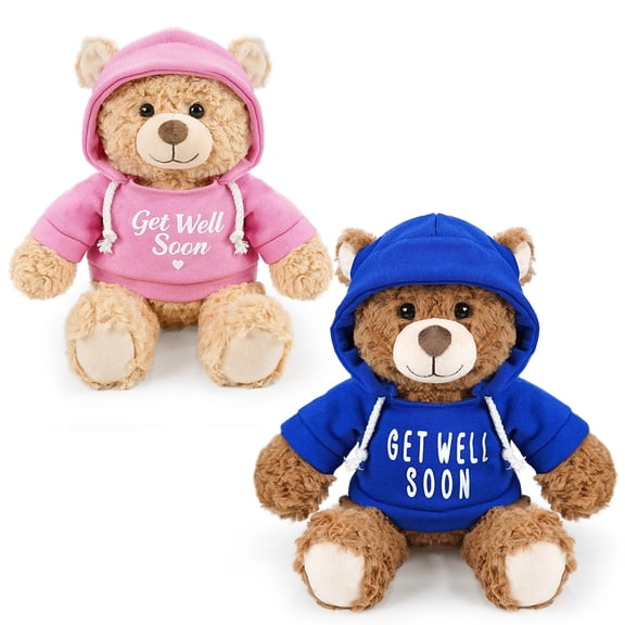 2 Pcs Classic Teddy Bears Plush Dolls 8.7 Inch Stuffed Bear Animal Set Hoodie-Wearing Bear with Get Well Soon Valentines Cozy Bear for Girlfriend Girls Kids Baby Gift (Pink + Blue)
