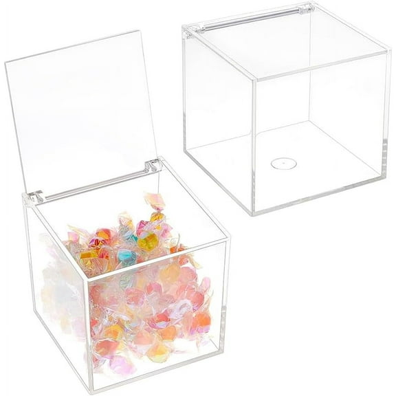 2 Pcs Clear Acrylic Box with Lid 10cm/3.9 Inch Acrylic Square Cube Storage Box Anti Dust Durable Organizers with Hinged Lid