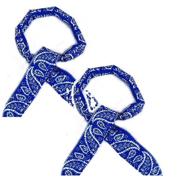 2 Pcs Cooling Neck Wrap, Ice Wrap Scarf Neck Bandana Cooler for Hot Weather Summer Women Men Walking Riding Outdoor