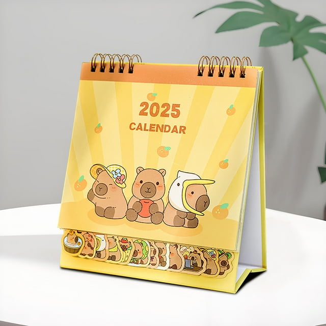 2 Pcs Desk Calendar 20242025, 5.3*5.91 Inch Monthly Desktop Calendar