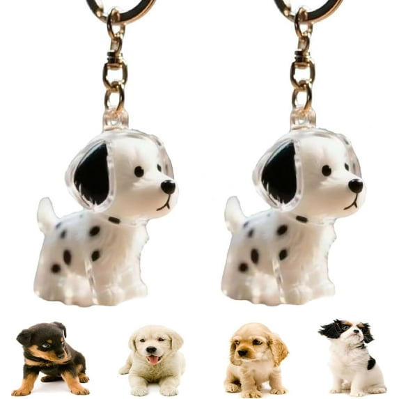 2 Pcs Dog Hair Collector Keychain Charm Memorial Storage Box, Dogs Fur Pendant, Pet Hair Memorial Keepsake, Portable Pet Memory Capsule, Birhthday Gift for Pet Lovers