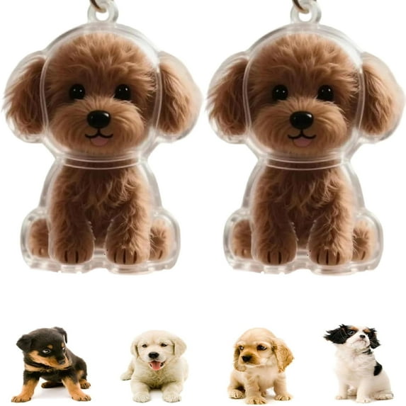 2 Pcs Dog Hair Collector Keychain Charm Memorial Storage Box, Dogs Fur Pendant, Pet Hair Memorial Keepsake, Portable Pet Memory Capsule, Birhthday Gift for Pet Lovers
