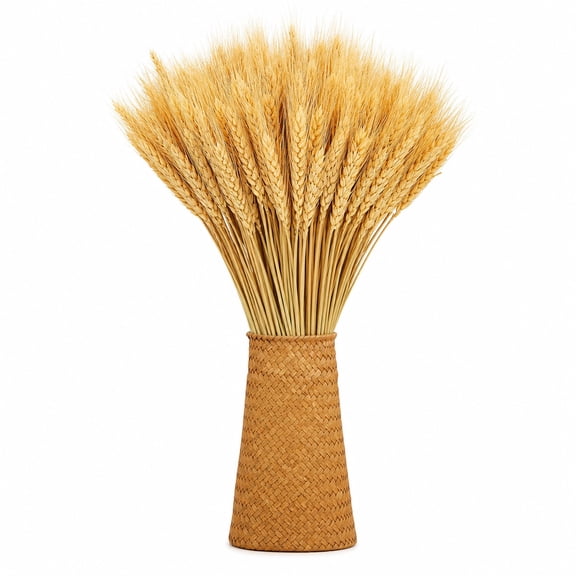 2 Pcs Dried Wheat Stalks Artificial Dried Wheat Sheaves Faux Boho Farmhouse Fall Decor for Vase Home Kitchen Office Wedding Crowns Wreath Table Centerpiece Farmhouse 15.8 inch