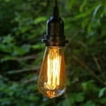 thumbnail image 1 of 2 Pcs Event Decor Pendant Light with Antique Bulb 15 foot Black Cord Plug-In Edison, 1 of 1
