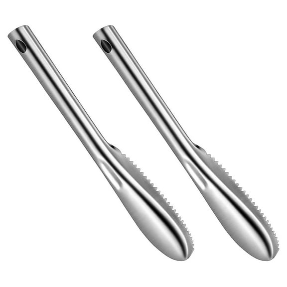 2 Pcs Fish Scaler Tool Household Remover Manual Descaler Brush for Stainless Steel