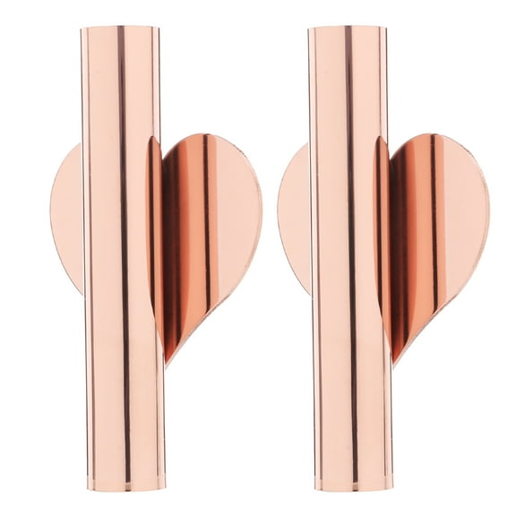 HINTRMENT Wall Planter Wall Mounted Flower Tube Modern Metal Plant Holder Indoor Plants 2pcs